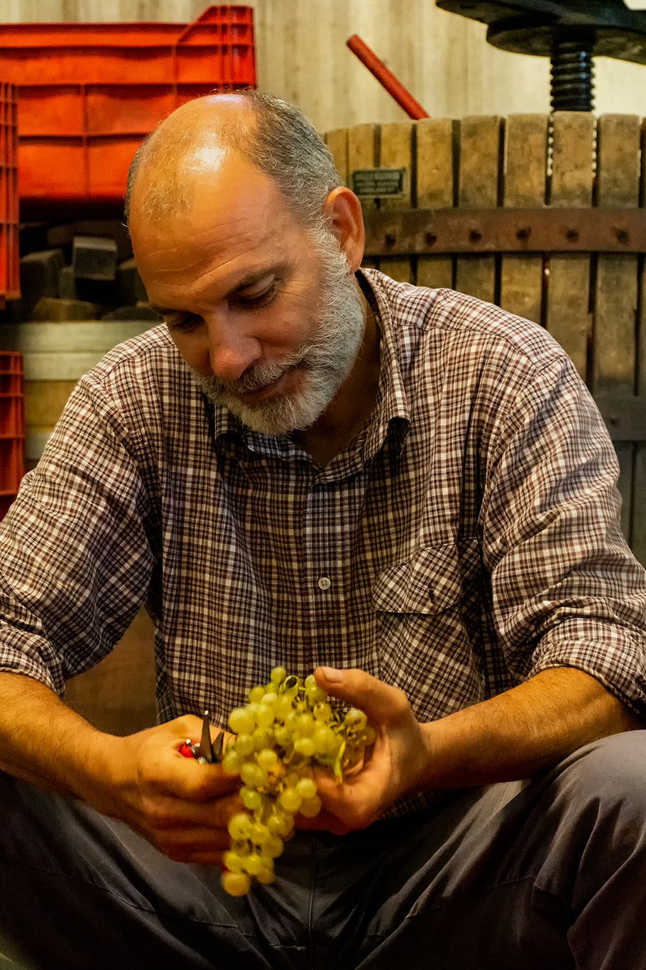 Costadila 01 VAR7603 1 rit01 910x1366px