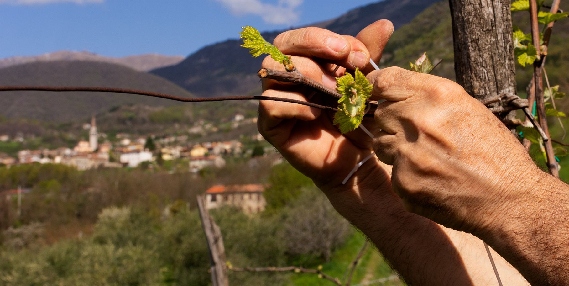 Costadila 04 VAR5666 03rit 1816x912px