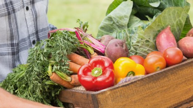 Come conciliare nutrizione e rispetto per l’ambiente: dieta Flexitariana