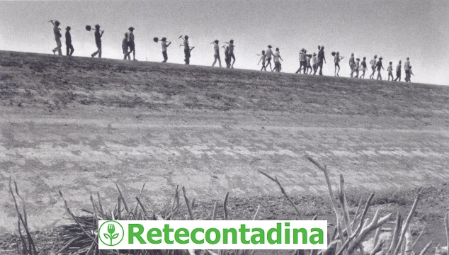 Marghera 18 aprile '26 - Ritorno alla terra: i giovani e l'agroecologia
